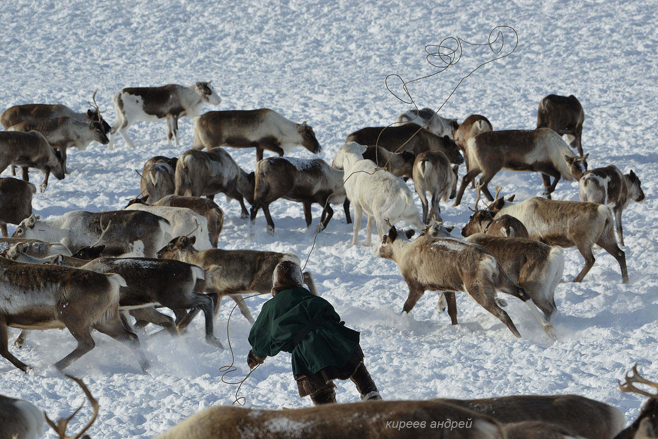 Yamal (Ямал)